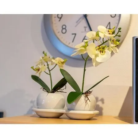 Wattlooper Σπίτι διακοπών *